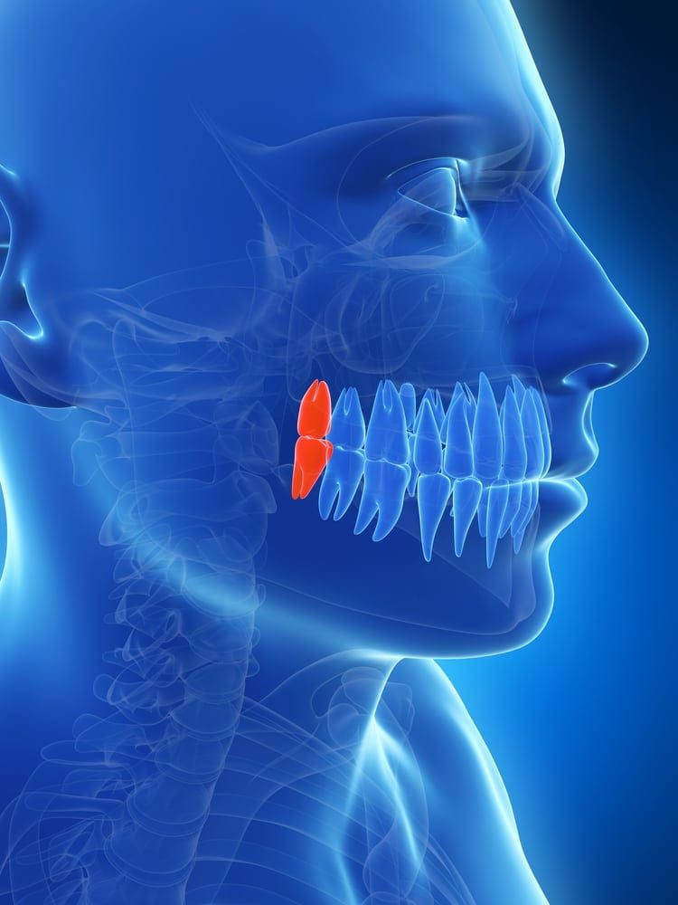 seattle jaw surgery 3d xray